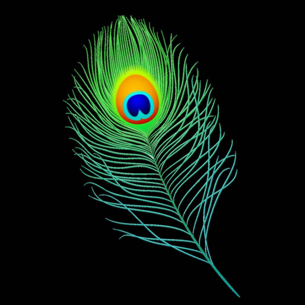 मोर पंख के इस बेहद सरल उपाय से होगा धन लाभ, टिकने लगेगा हाथ में पैसा