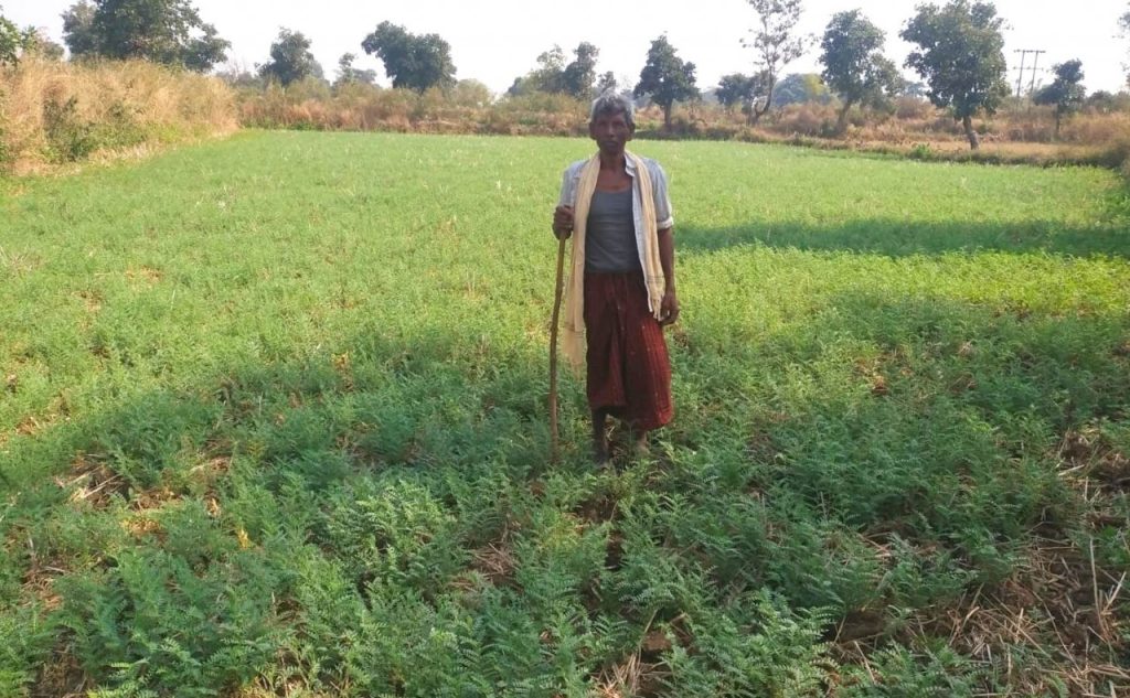 चना की उन्नत खेती से बाबुलाल के आमदनी में हुई बढ़ोतरी