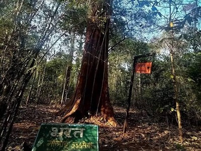 सैकड़ों साल से बस्तर में खड़े है हिंदू सनातन धर्म के आराध्य श्रीराम…