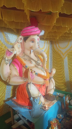 रावतपुरा कालोनी में विराजे गजराज