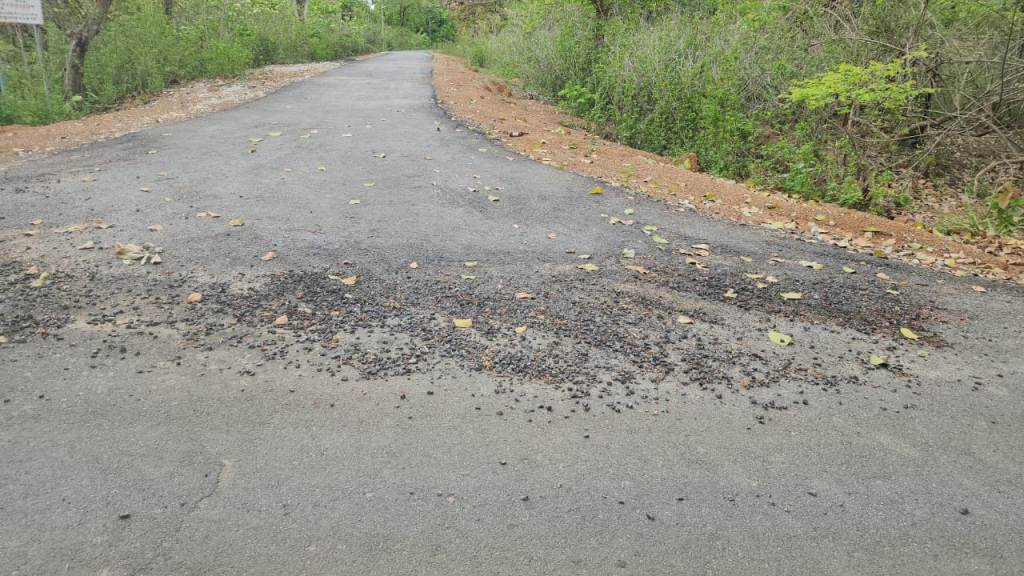 ये कैसी सड़क… डामरीकरण हुआ नहीं की उखड़ने लगी परत