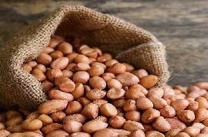 याददाश्त बढ़ाने में फायदेमंद है मूंगफली…पर सीमित मात्रा में ही करें सेवन