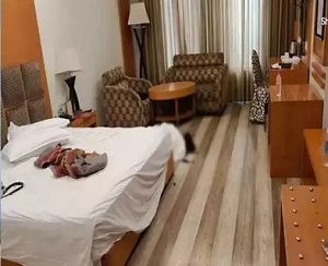 छत्तीसगढ़ : कमरा नंबर 416 में ठहरी थी लड़की.. गेट खोलते ही शॉक्ड हो गई पुलिस…