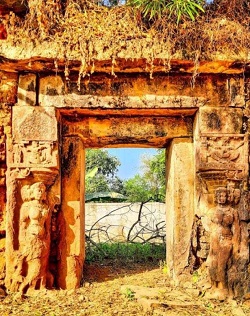 पुजेरीपाली में 1875 से अब तक कई बार पुरातत्व की खोज