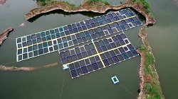 बंद खदानों में केज कल्चर तकनीक से मछली पालन बना रोजगार और आत्मनिर्भरता का नया जरिया