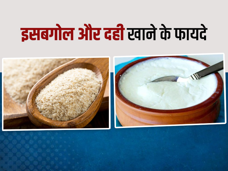 दही में मिलाकर खा लें इसबगोल, बवासीर से लेकर पाचन तक इन 5 समस्याओं में झट से मिलेगा आराम