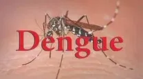 मुजफ्फरपुर में डेंगू का प्रकोप बढ़ा, अब तक 9 मरीज पॉजिटिव, स्वास्थ्य विभाग अलर्ट मोड पर