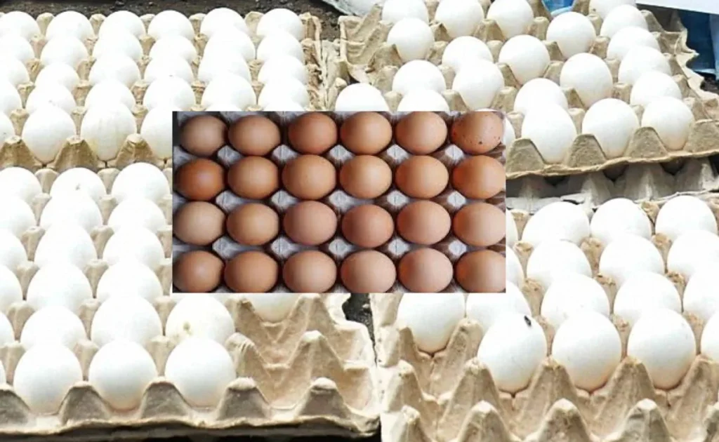 कत्था, चायपत्ती, सिंदूर… कैसे सफेद अंडों को रंगकर बना देते थे ‘देसी’ अंडा, जानें पूरा खेल