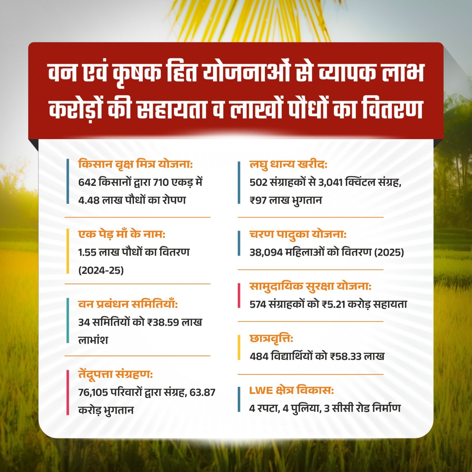 हरियाली से आर्थिक रूप से सशक्त हुए मोहला जिले के ग्रामीण