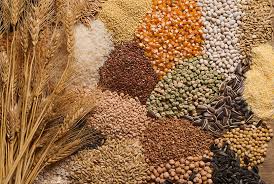 किसानों को घटीया बीज देने पर लगेगा मोटा जुर्माना