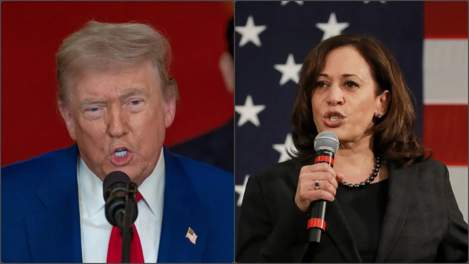 राष्ट्रपति डोनाल्ड ट्रंप के स्टेट ऑफ द यूनियन भाषण की कड़ी आलोचना करते हुए झूठा बताया, कमला हैरिस ने…