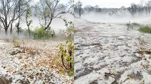 छत्तीसगढ़ में मौसम का बदल गया अचानक मिजाज,ओलावृष्टि और तेज हवाओं से किसानों की महुआ और आम की फसल को नुकसान…