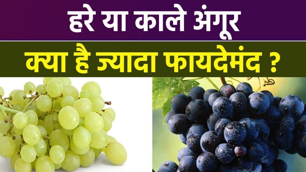 अंगूर चाहे हरे हों या काले, दोनों ही सेहत का खजाना,कौन ज्यादा मीठा और सेहत के लिए फायदेमंद है?