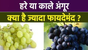 अंगूर चाहे हरे हों या काले, दोनों ही सेहत का खजाना,कौन ज्यादा मीठा और सेहत के लिए फायदेमंद है?