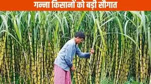 उप मुख्यमंत्री श्री विजय शर्मा के विशेष प्रयासों से चैत्र नवरात्रि पर्व पर कवर्धा के गन्ना किसानों को मिली बड़ी सौगात…