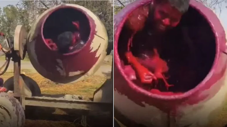 होली के जश्न में एक लड़के को सीमेंट मिक्सर में डालकर घुमाने का वीडियो सोशल मीडिया पर वायरल…