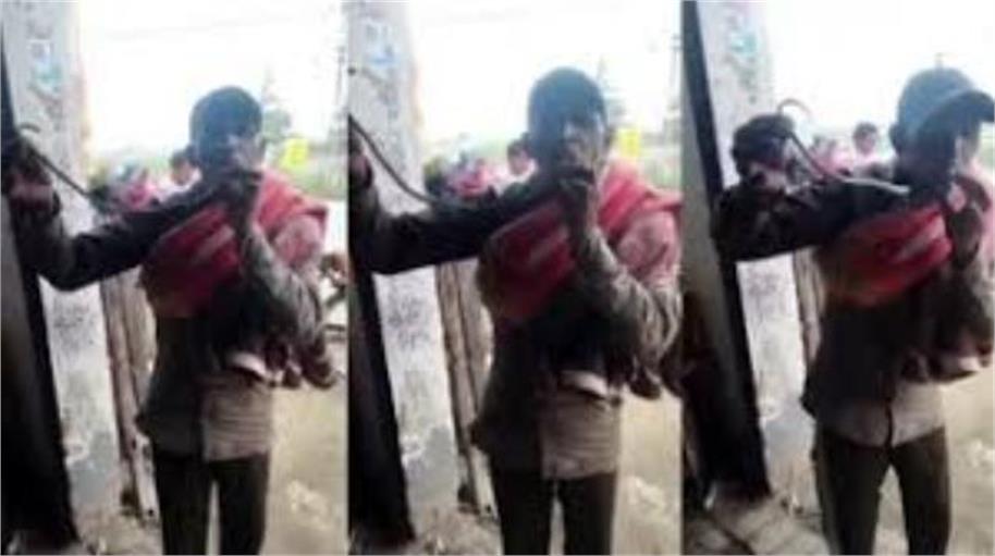 कोबरा को पकड़कर करतब दिखा रहा था व्यक्ति, अंगुली काटने से मौत