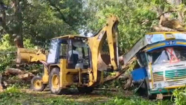 जगदलपुर-सुकमा राष्ट्रीय मार्ग पर वाहनों की थम गई आवाजाही, ट्रक पर गिर पड़ा विशालकाय पेड़…