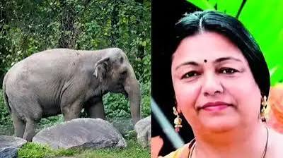 IPS अधिकारी और RAW के स्पेशल सेक्रेटरी सुनील अचाया की पत्नी को हाथी ने कुचला, मौत