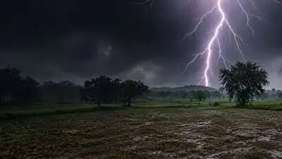 छत्तीसगढ़:बारिश के दौरान पेड़ के नीचे खड़े चार बच्चों पर गिरी आकाशीय बिजली,2 की मौत; 2 गंभीर…
