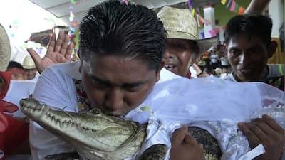 क्या आपने कभी देखी ऐसी शादी-मेयर ने रचाई मगरमच्छ से शादी kiss करके पूरी की रस्म…