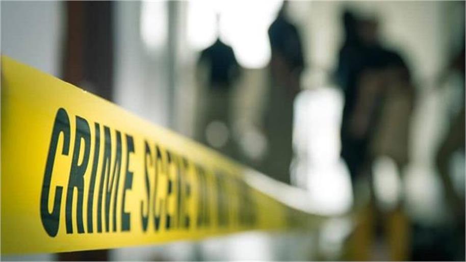 पहले ली भाई की जान, अब जमीन के लिए मां का ईंट से कुचला सिर…