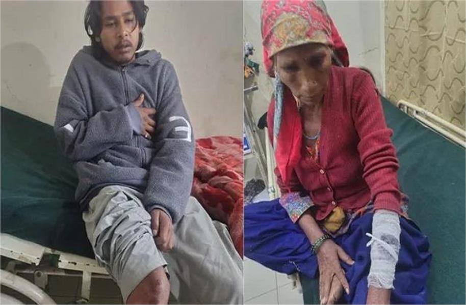 भालू का तांडव: गाय को बचाने गए एक ही परिवार के 4 लोगों पर किया हमला, गंभीर हालत में हायर सेंटर रेफर