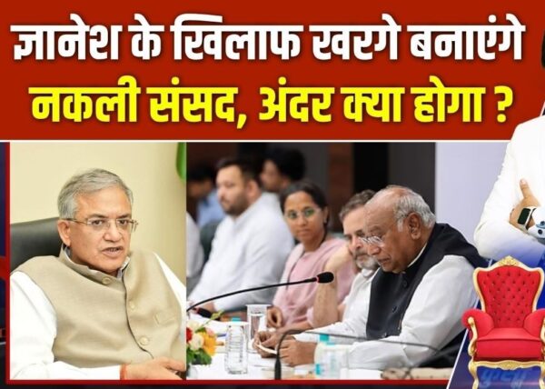 ऐसी संसद का औचित्य