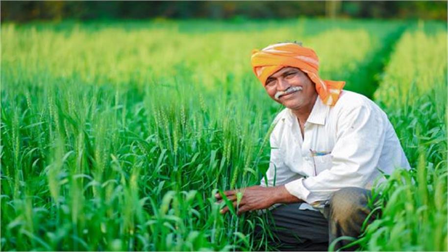 भारत की कृषि गाथा का नया रूप : परिवर्तन का एक दशक