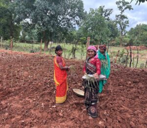 लेमन ग्रास की खुशबू से महक रही आत्मनिर्भरता, जीपीएम की महिलाएं बढ़ रहीं ‘लखपति दीदी’ बनने की राह पर