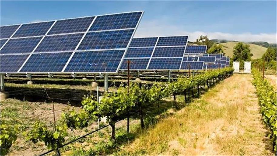 विकसित भारत के केंद्र में किसान को स्थापित कर सकता है ‘एग्रीवोल्टिक्स’